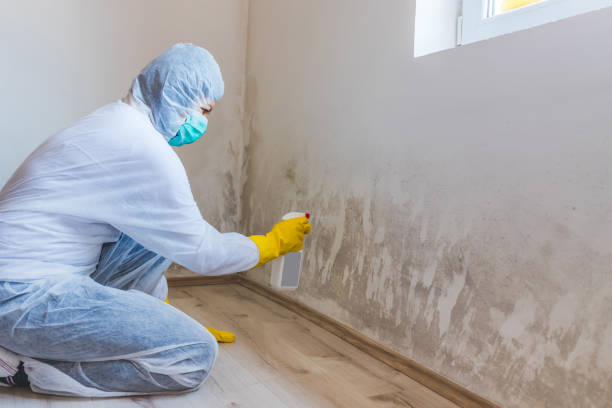 Attic mold on roof deck in Carefree home