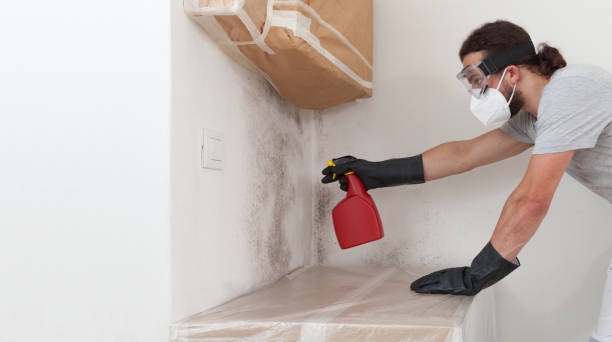 Basement Mold Remediation treatment on basement walls in Carefree